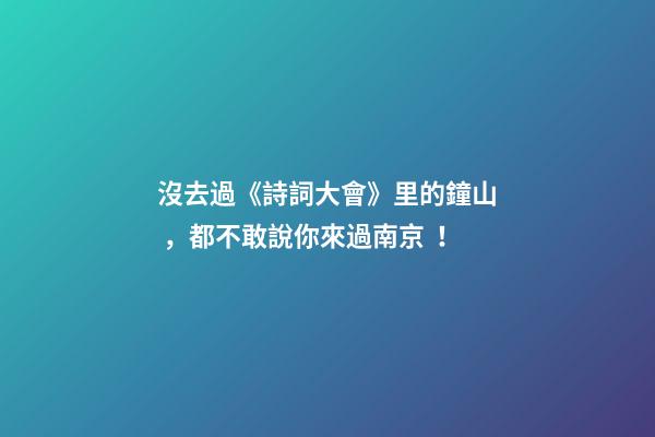 沒去過《詩詞大會》里的鐘山，都不敢說你來過南京！